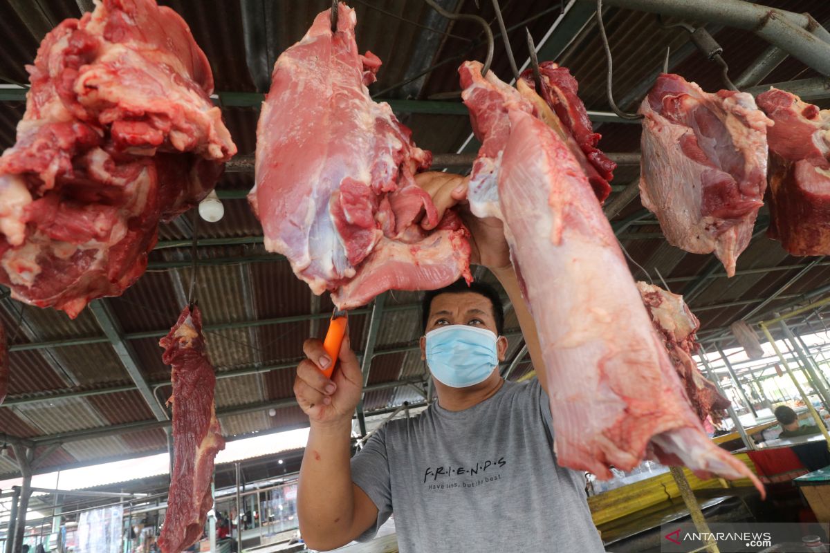 Pemerintah perlu awasi  stok dan distribusi daging sapi