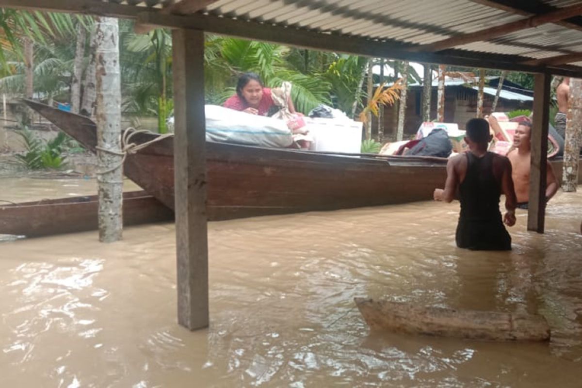 Walhi Aceh minta pemerintah daerah perbaiki tata kelola pembangunan