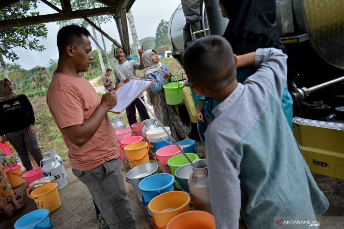 Kemenkop bantu koperasi peternak tangani penyakit kuku dan mulut