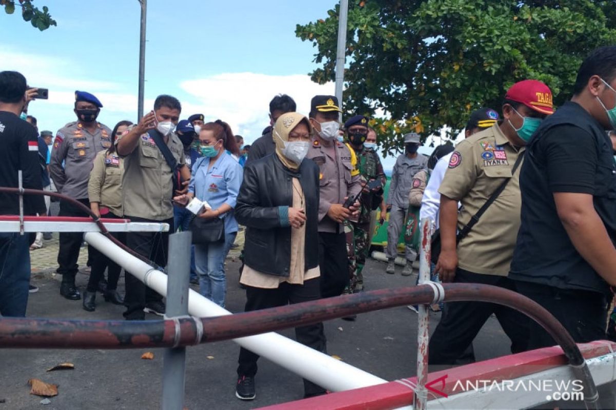 Mensos: Tanam "Cemara Udang" kurangi kerusakan tambatan dan perahu nelayan