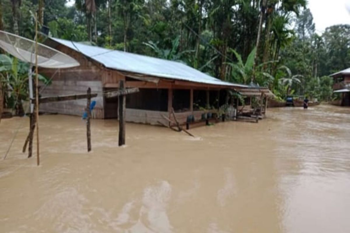 Ratusan warga pedalaman Aceh Timur mengungsi akibat banjir