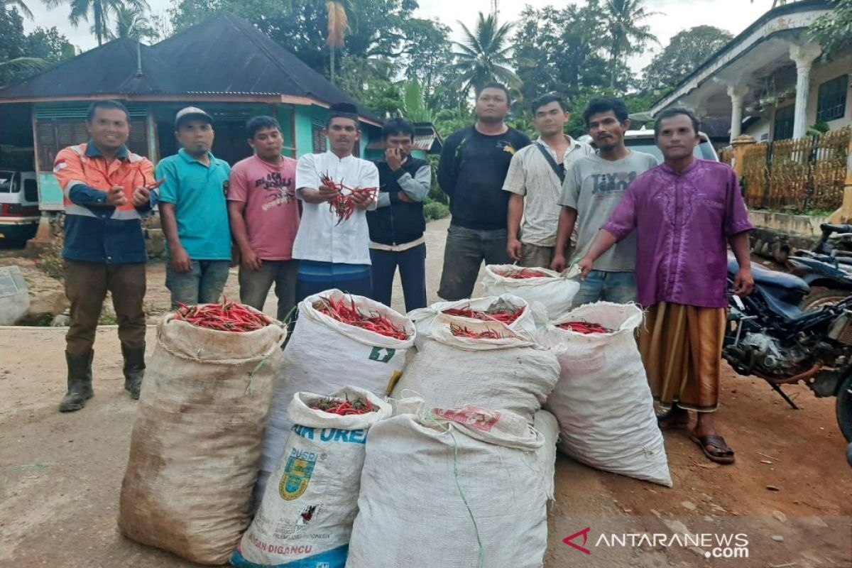 Kelompok tani Aek Maga ucapkan terimakasih kepada PT SMGP