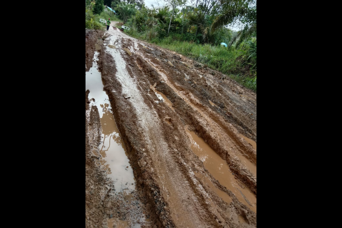 Kades kecewa jalan Semangut-Kelibang tidak dianggarkan Pemkab Kapuas Hulu