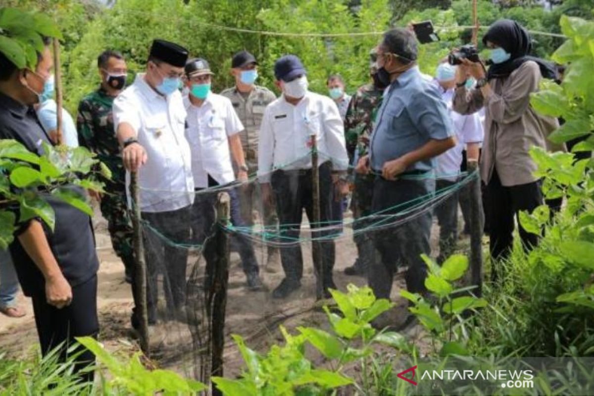 Gubernur Babel: Penangkaran penyu Desa Guntung jadi wisata edukasi