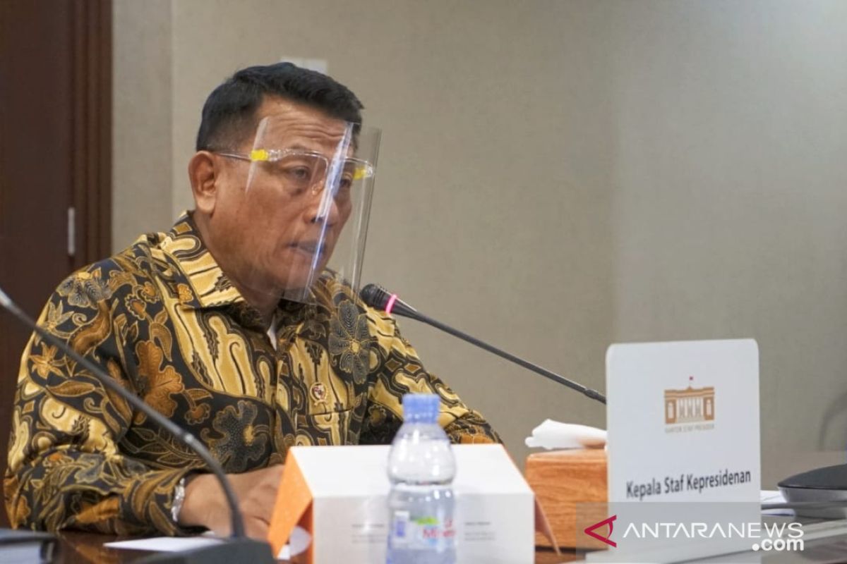 Istana lagi cari solusi stabilkan harga daging sapi