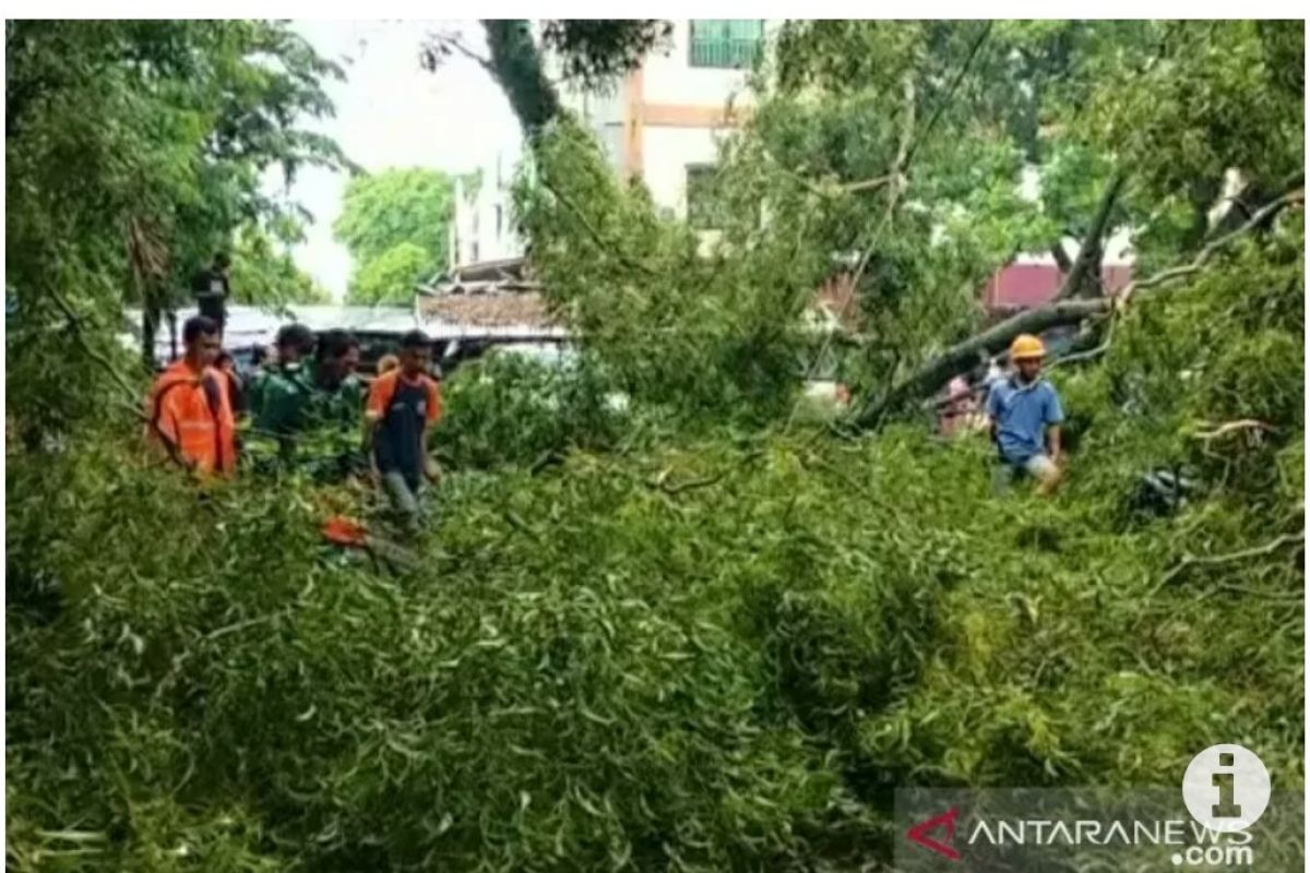 BMKG Lampung ingatkan masyarakat pesisir waspadai fenomena angin kencang