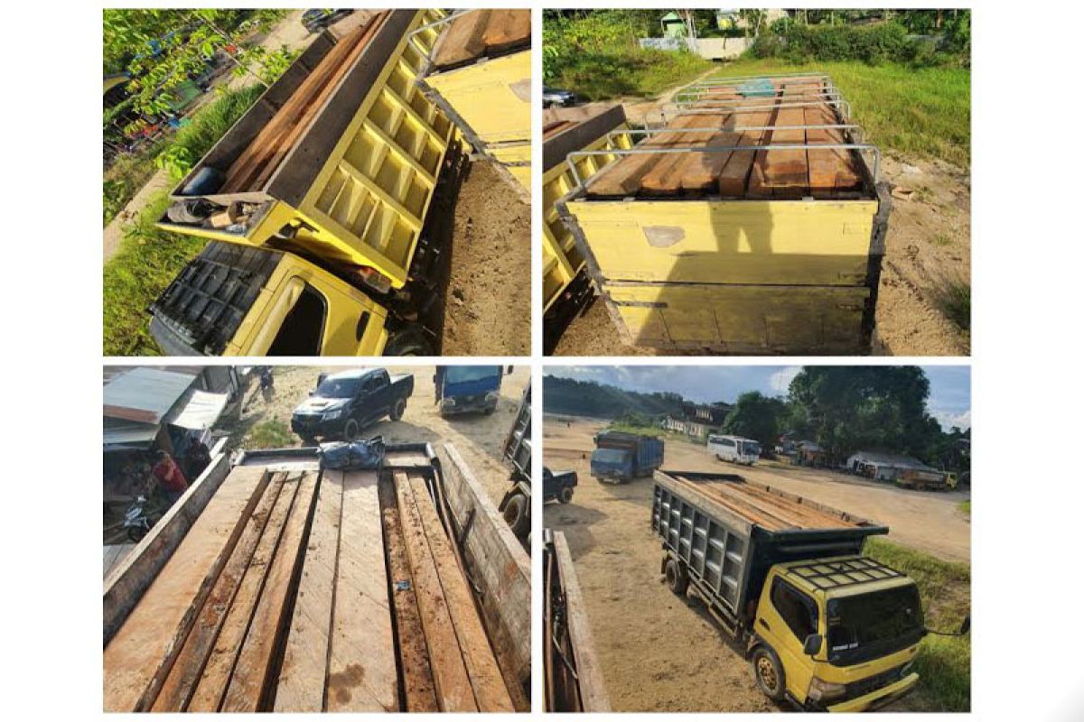 Empat sopir dan truk  angkut kayu ilegal ditangkap di Barut