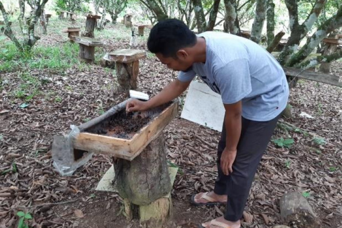 Yayasan Dharma Bhakti Astra intens beri pendampingan daring ke UMKM