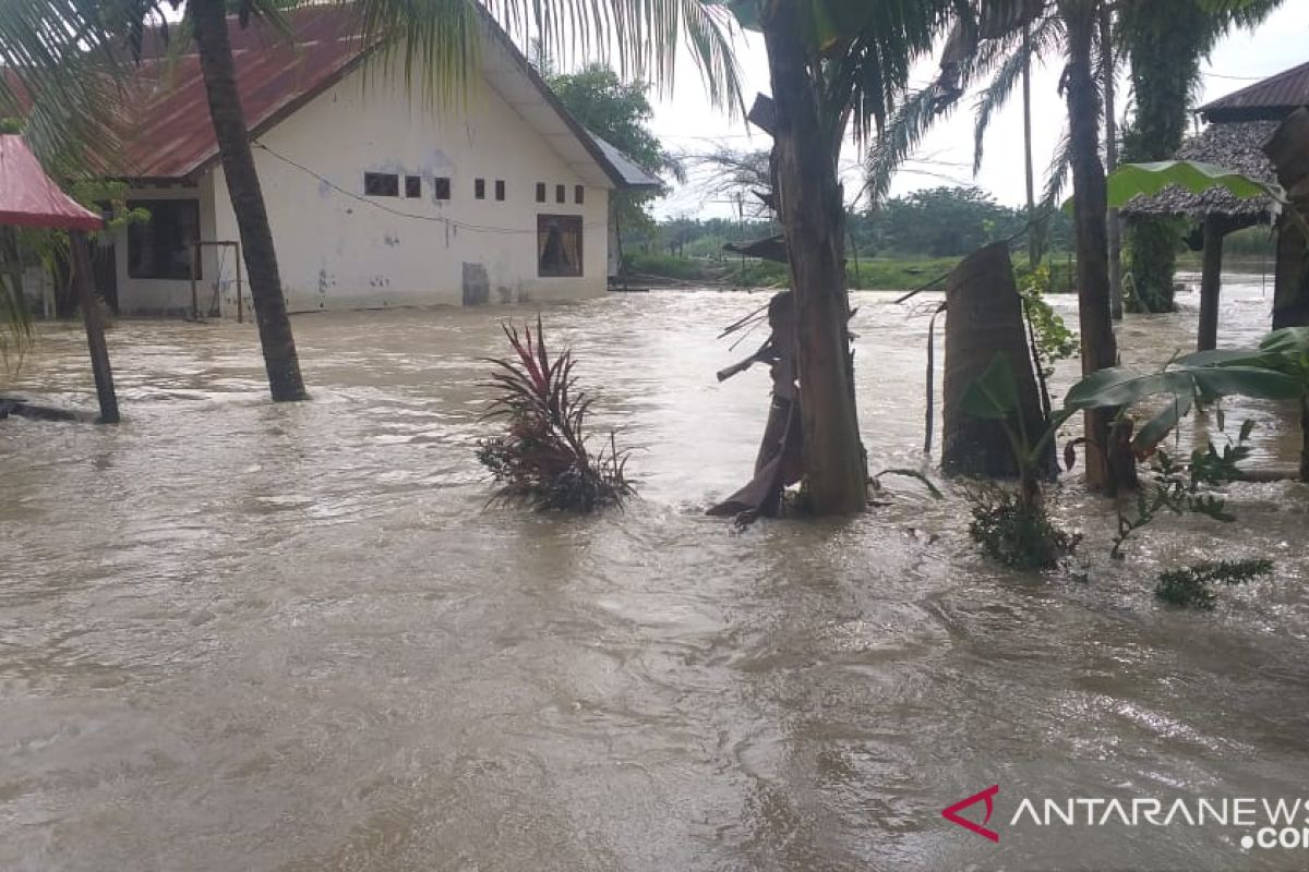 BPBA: Ketinggian banjir Aceh Tamiang 2 meter lebih