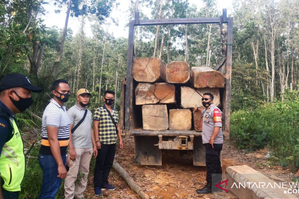Polres Dharmasraya amankan puluhan kayu diduga ilegal