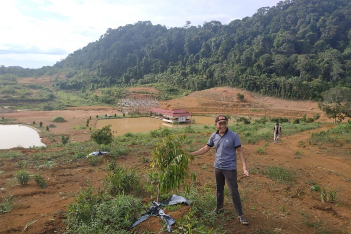 Sudayat tanam 1.000 pohon di Wisata Lembah Bukit Semugang