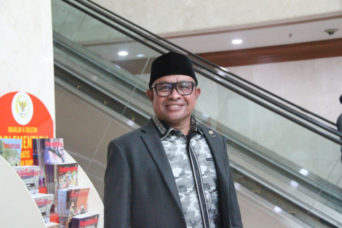 Rafli usul tiga opsi selamatkan Garuda Indonesia