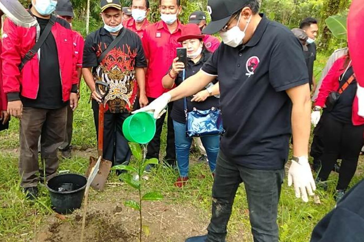 PDIP Sumut kembali gelar penanaman pohon serentak