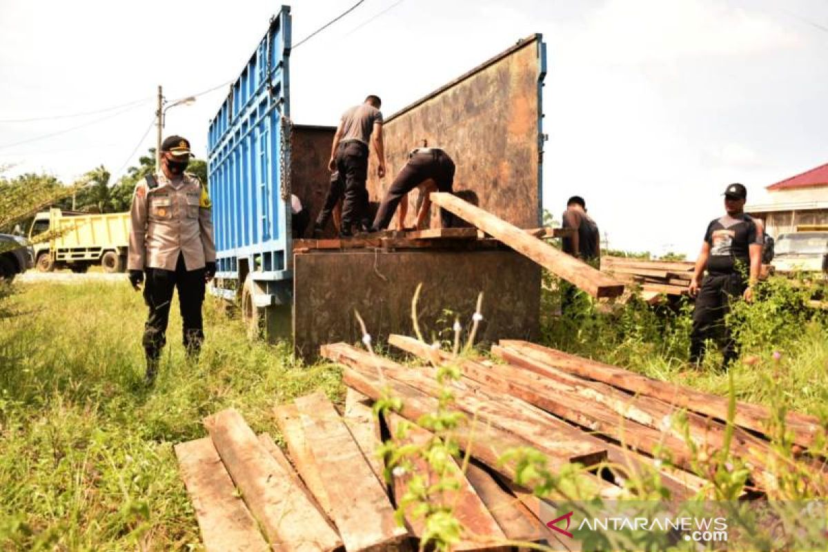 Aceh Police detain illegal logger in Mt Leuser national park area