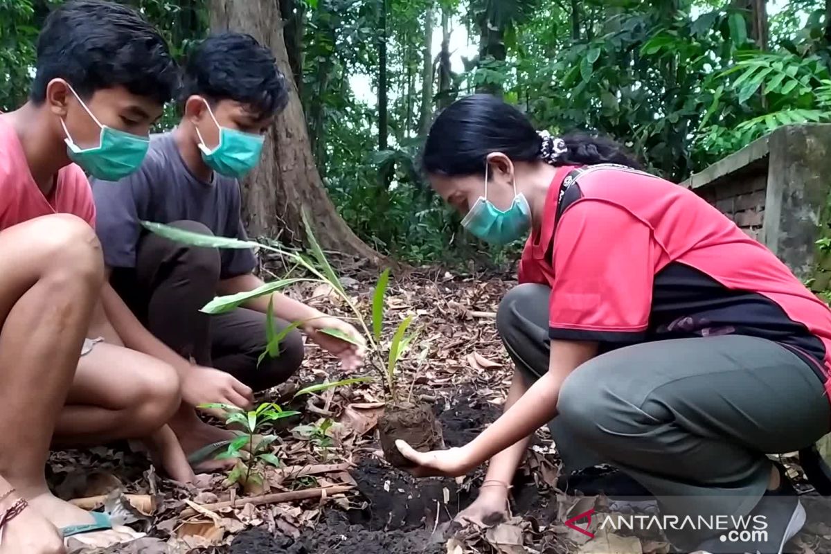 PDIP Mataram tanam 450 pohon memperingati ultah ke-74 Megawati