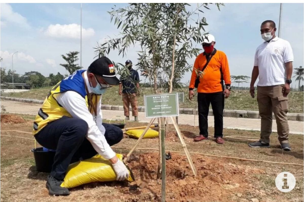 Kepala BPJT: Rest Area 87 A jadi contoh penghijauan