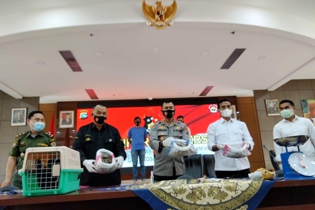 Polda Sumbar ungkap kasus jual beli satwa dilindungi