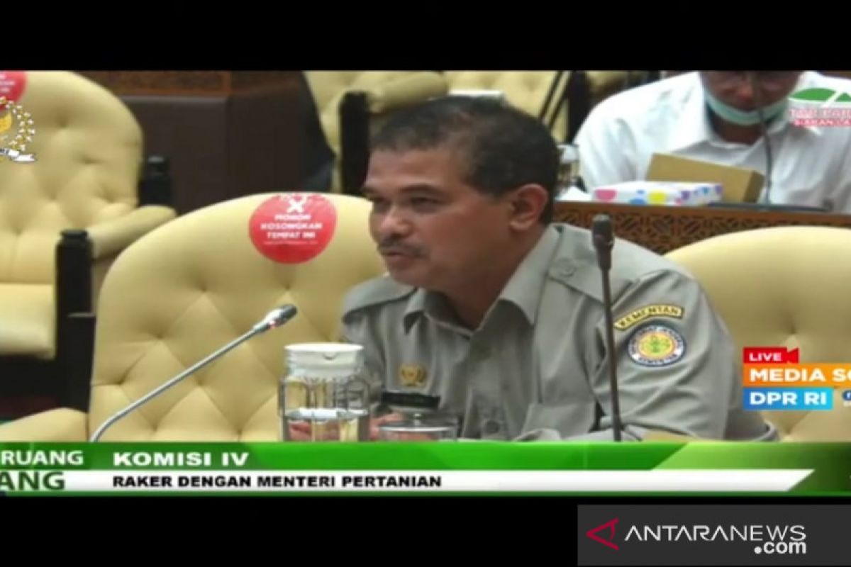 Beras impor rembes, Kementan sebut 2 perusahaan  diproses Bareskrim