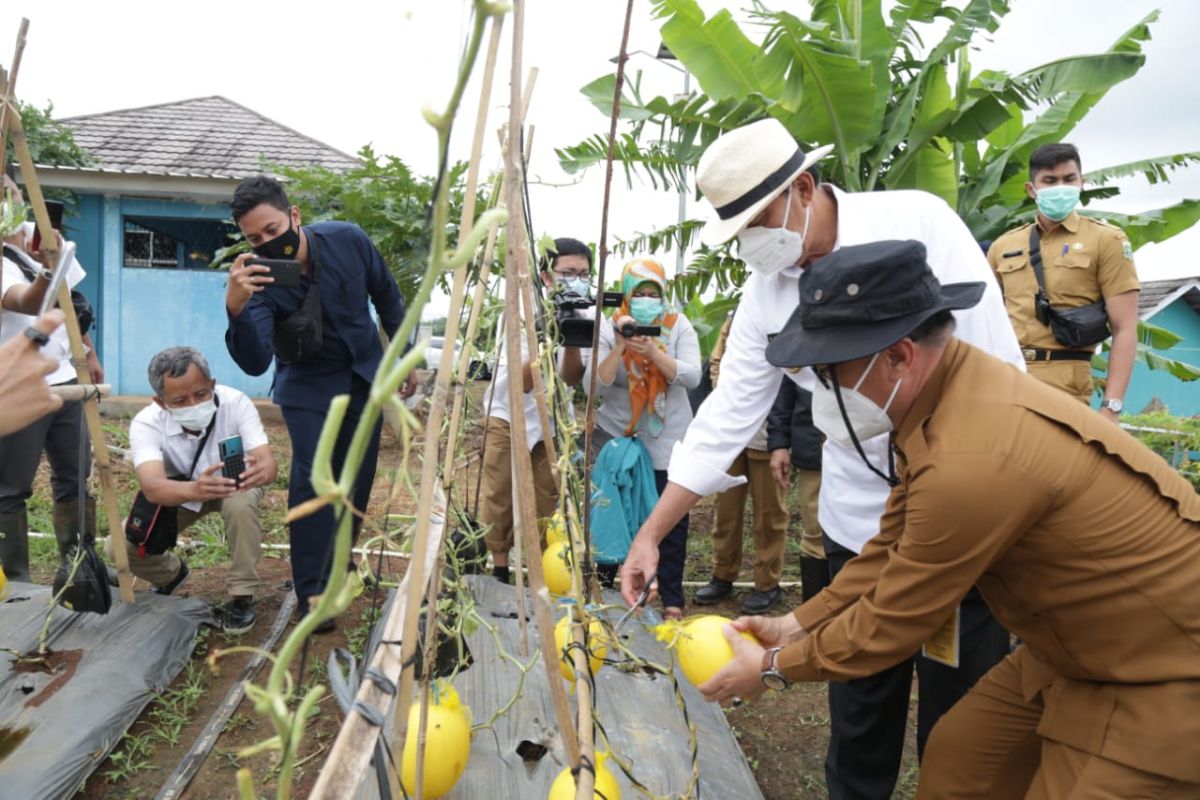 Banten siapkan cadangan beras hingga layanan antar kebutuhan pokok