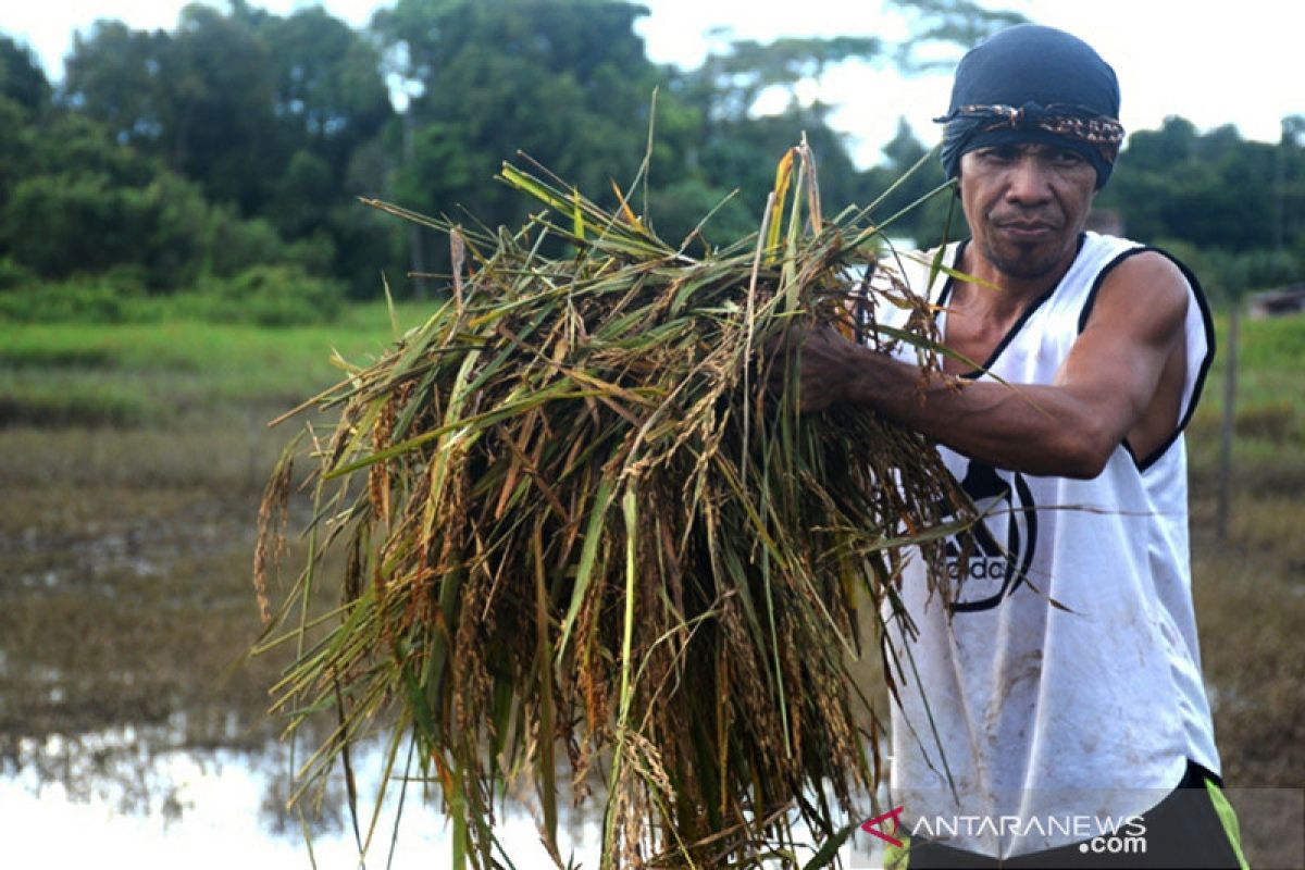 Asa entaskan banjir di Sembakung, satu sungai mengalir di dua negara