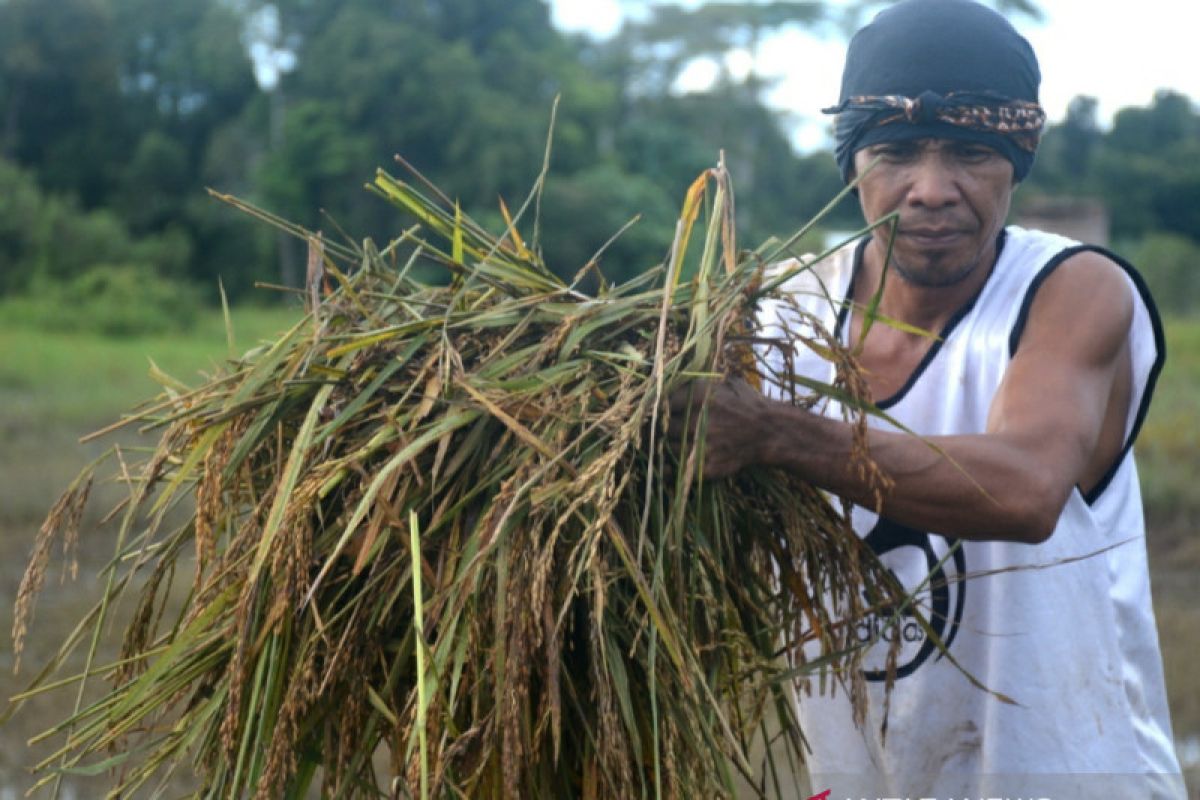 Asa entaskan banjir Sembakung, masalah satu sungai dari dua negara