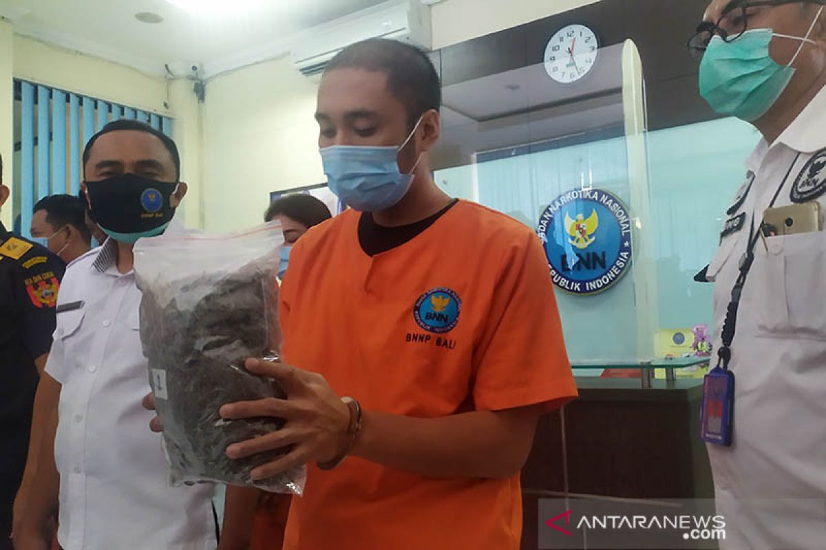 Gitaris Band terancam penjara seumur hidup miliki 1,4 kg ganja