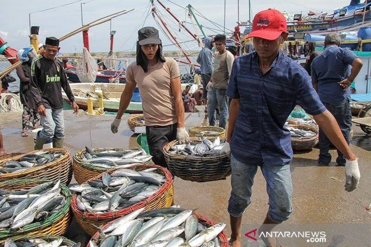 Tangkapan ikan menurun akibat cuaca buruk di perairan Flores