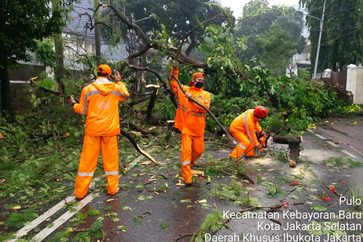 Jakarta Selatan dirikan posko antisipasi pohon tumbang saat musim hujan