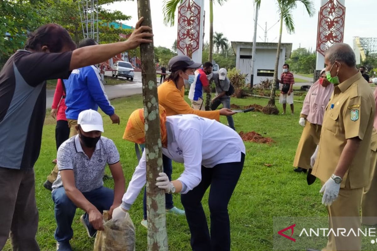 Disporapar Kalbar tata kawasan taman di GOR Pangsuma Pontianak