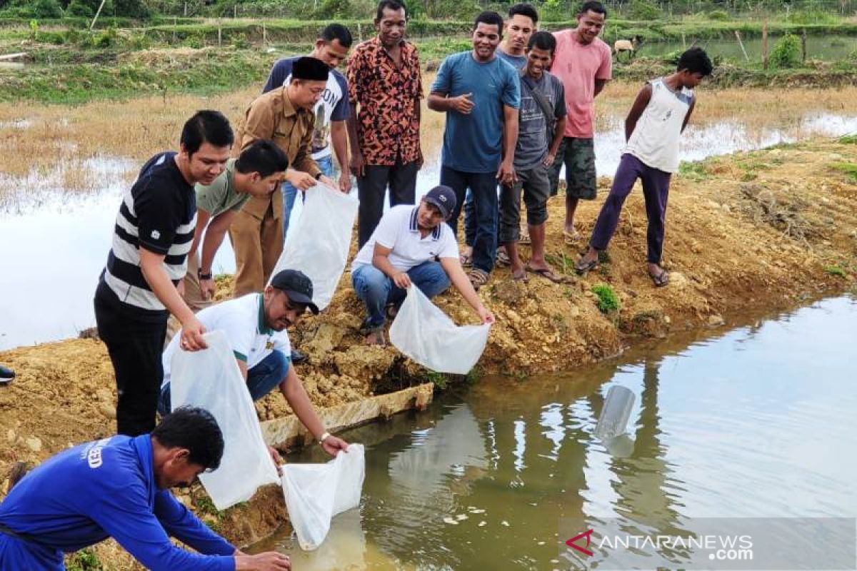HIPMI bantu bibit ikan air tawar untuk genjot ekonomi masyarakat di Nagan Raya