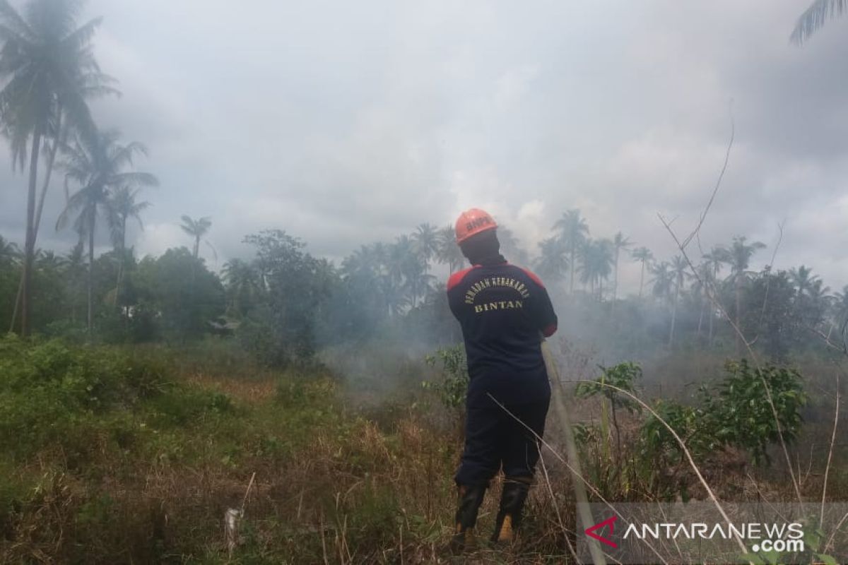 Lahan seluas tiga hektare terbakar di Kabupaten Bintan