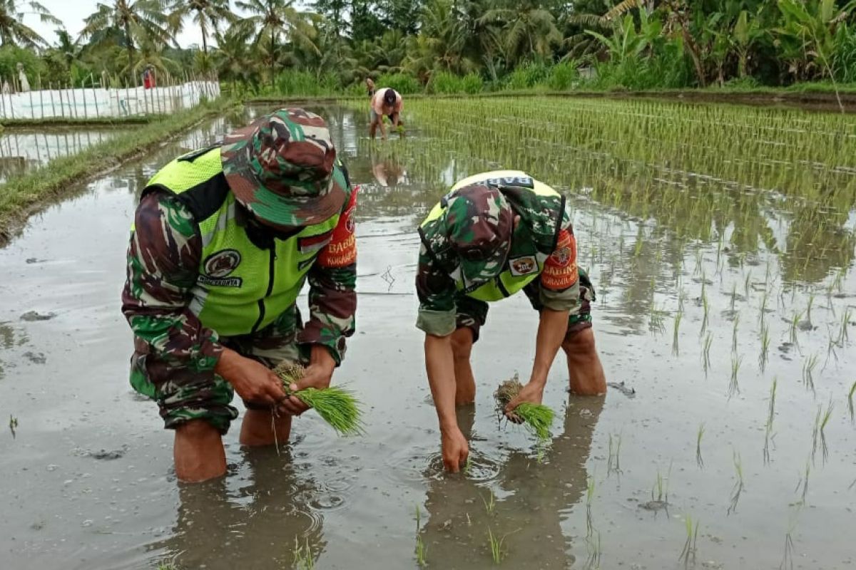 Kodam Udayana dorong ketahanan pangan saat pandemi di wilayah Bali-Nusra