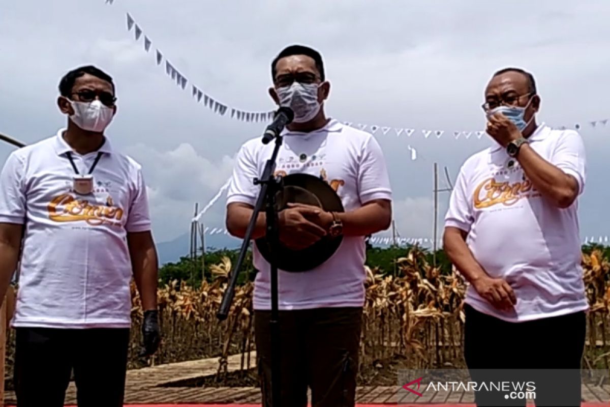 Jabar siapkan lahan pertanian untuk 5.000 petani milenial