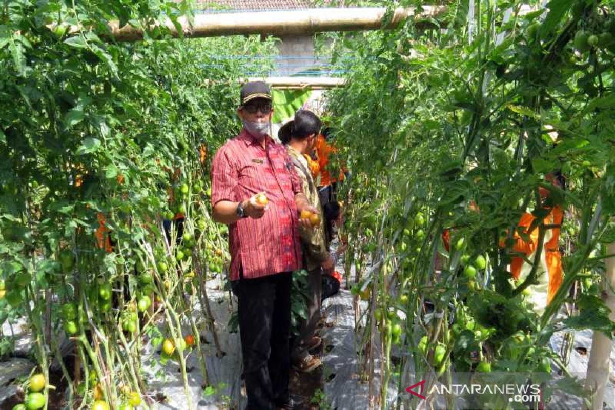 Stok pangan di Boyolali masa pandemi aman