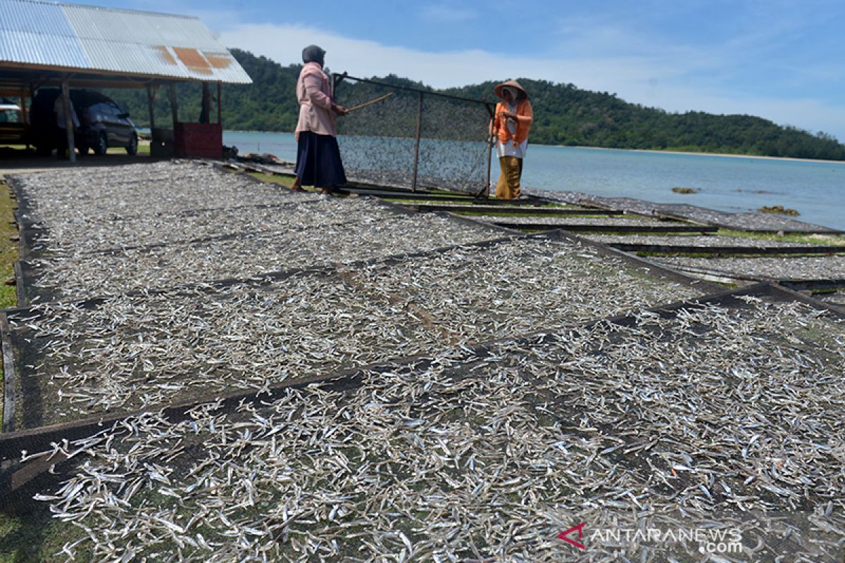 Usaha ikan asin ditengah COVID-19