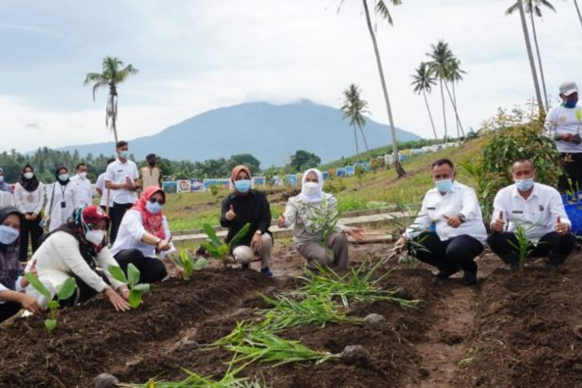 Bupati Lampung Selatan tanam 150 jenis Toga untuk pengembangan kebun edukasi