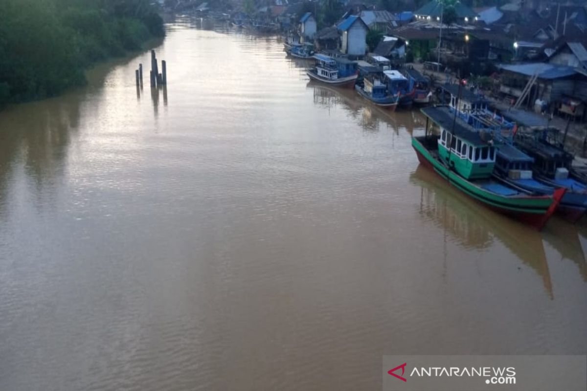 Dampak PETI Batang Natal, Buaya sering muncul kepermukaan