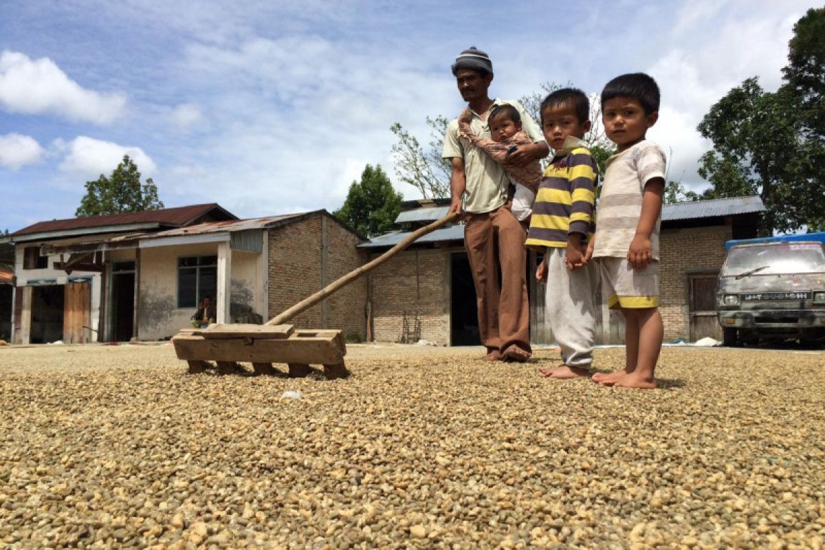 Menjaga asa bisnis kopi Sumatera tetap harum di tengah pandemi