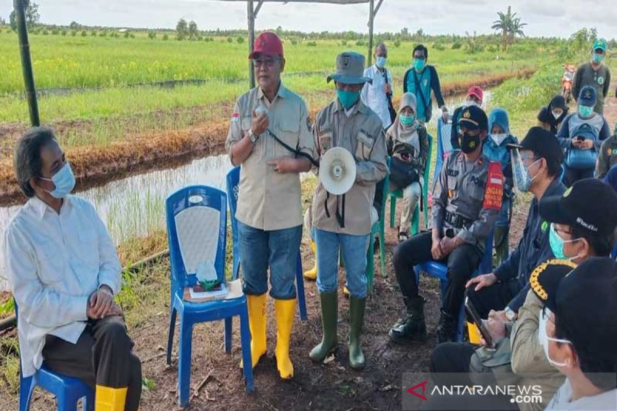 Pemprov berharap program ketahanan pangan BRGM diperluas di Kalteng