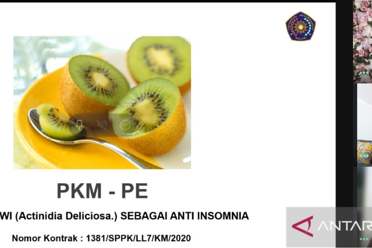 Penelitian UMM: Konsumsi buah kiwi bisa atasi insomnia