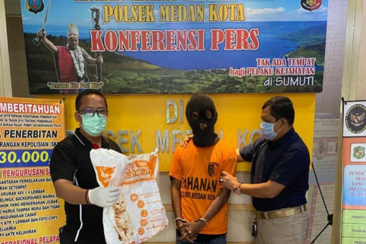 Polisi tangkap pencuri kucing jenis Himalaya di Medan