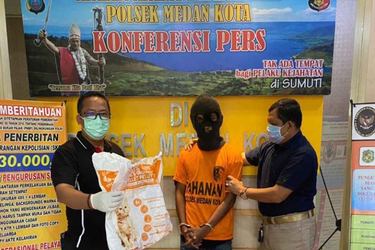Polisi tangkap pencuri Kucing Himalaya di Medan