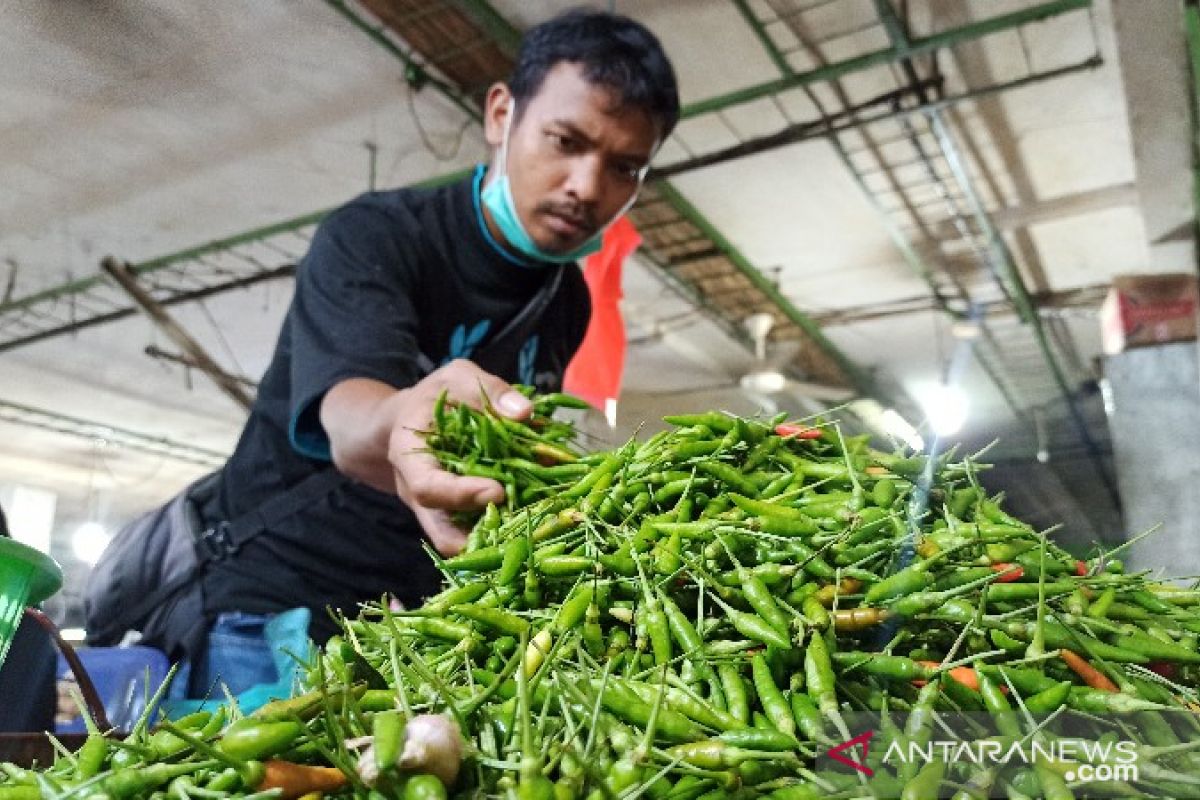 Harga cabai di Mesuji melambung