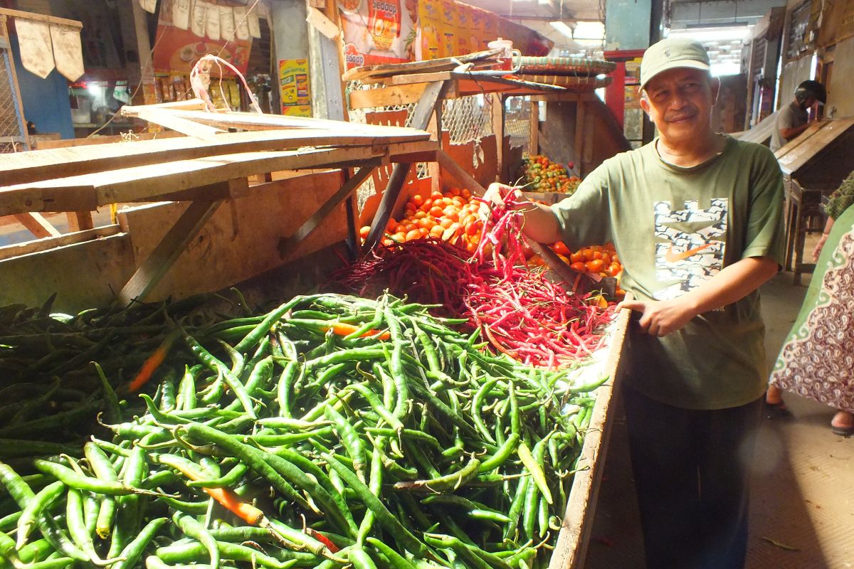 Harga cabai rawit di pasar tradisional Jember masih fluktuatif