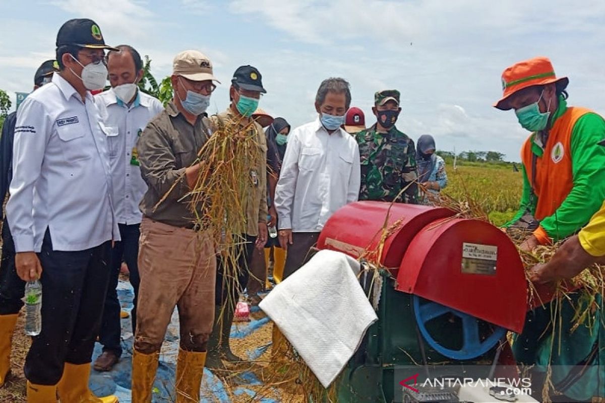 BRGM butuh dana awal Rp18,4 triliun untuk rehabilitasi mangrove kritis