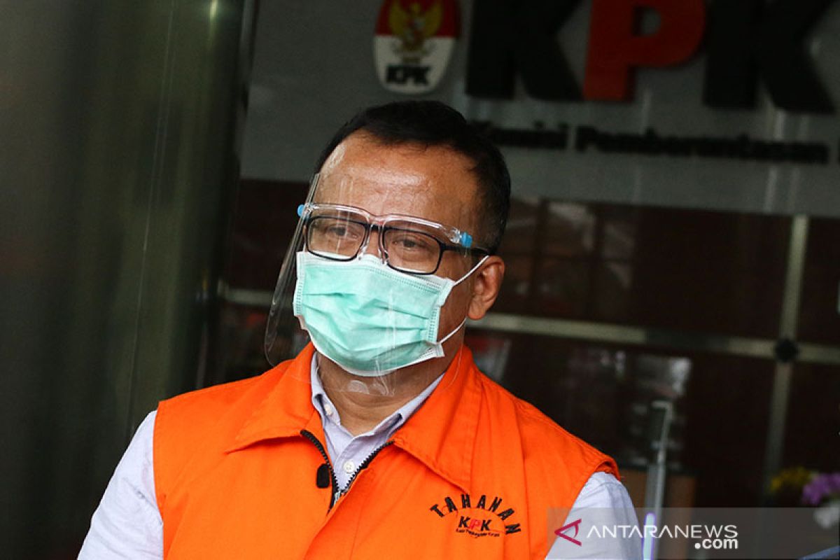 KPK panggil lima saksi kasus suap izin ekspor  benih lobster