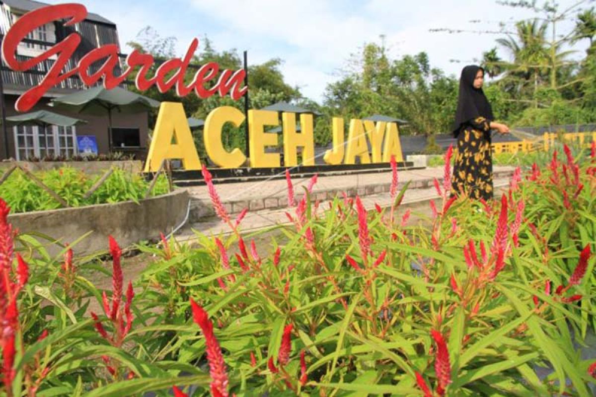 Perawatan taman bunga di Aceh Jaya