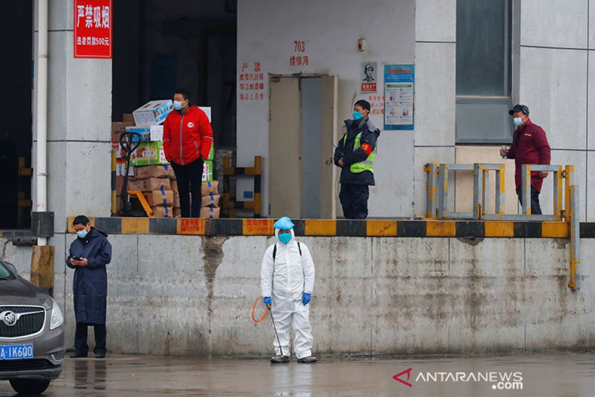 Tim WHO bakal beri pengarahan media tentang temuan di Wuhan