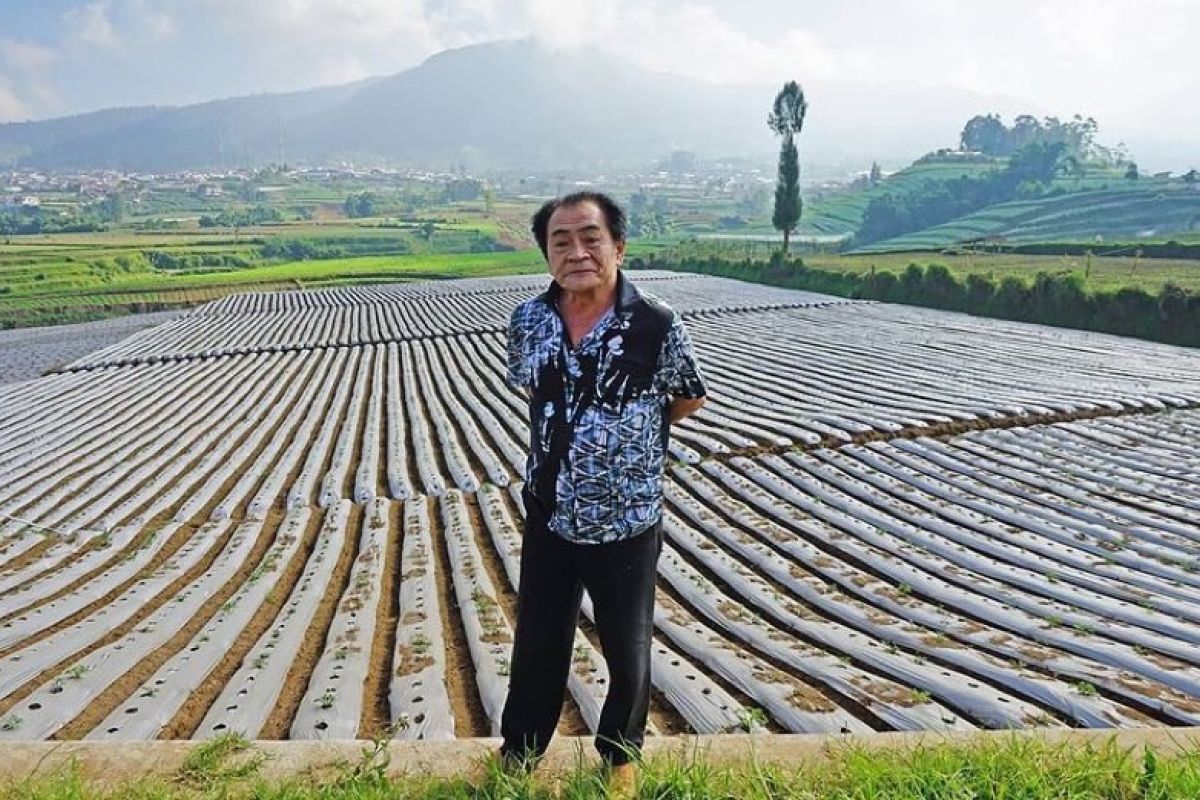 Bupati Banjarnegara ajak petani kembangkan mina padi