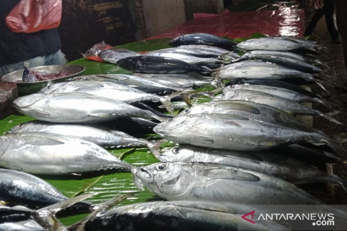 Pasokan minim, harga ikan di Baubau naik